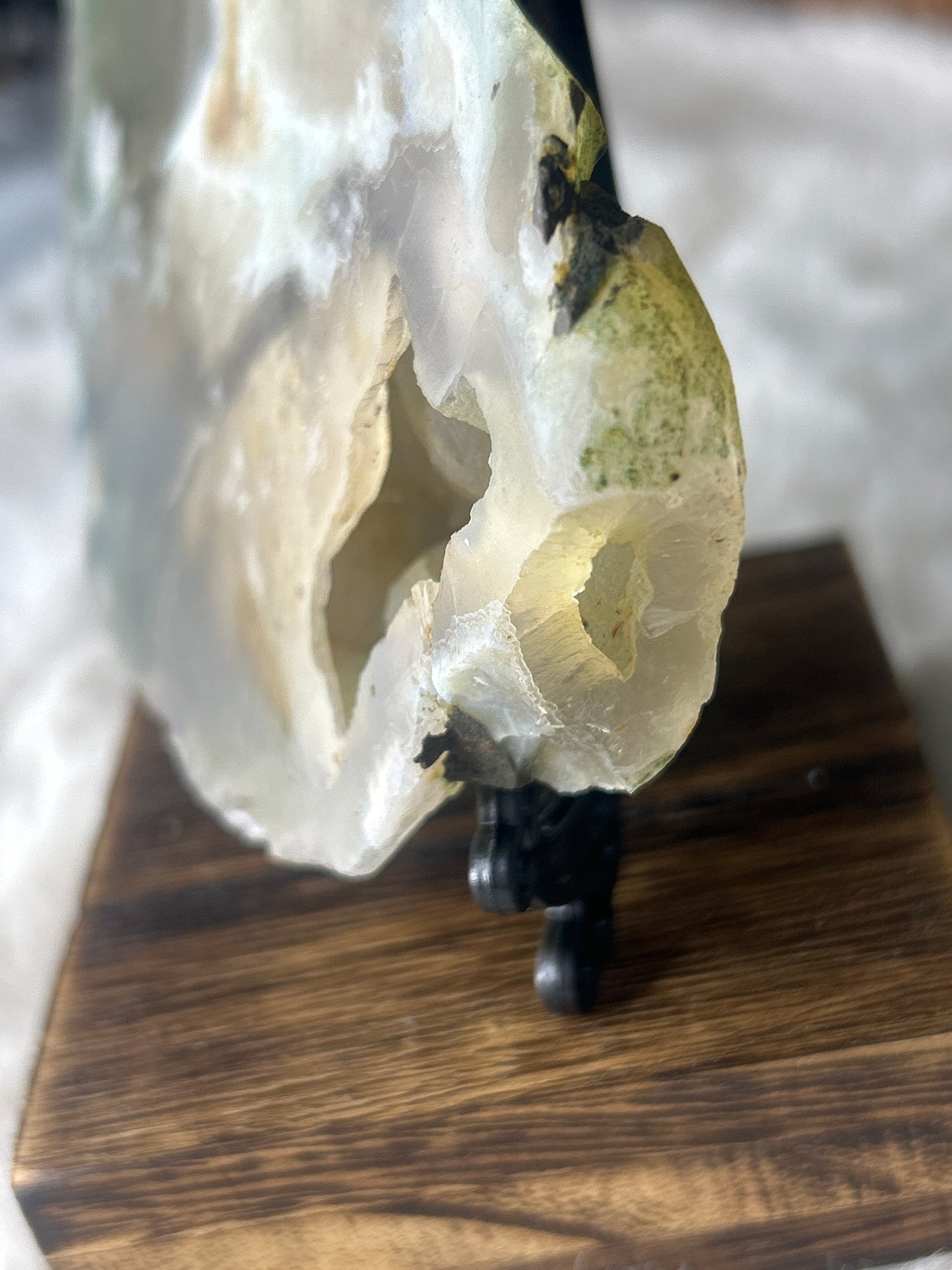 Green Flower Agate Slab