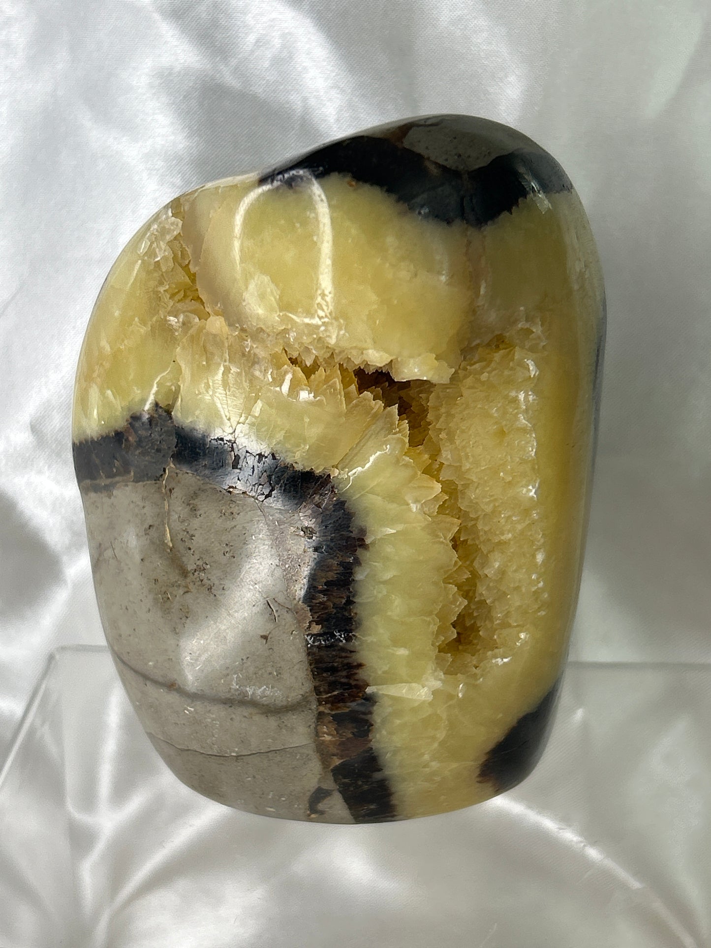 Septarian Free Form