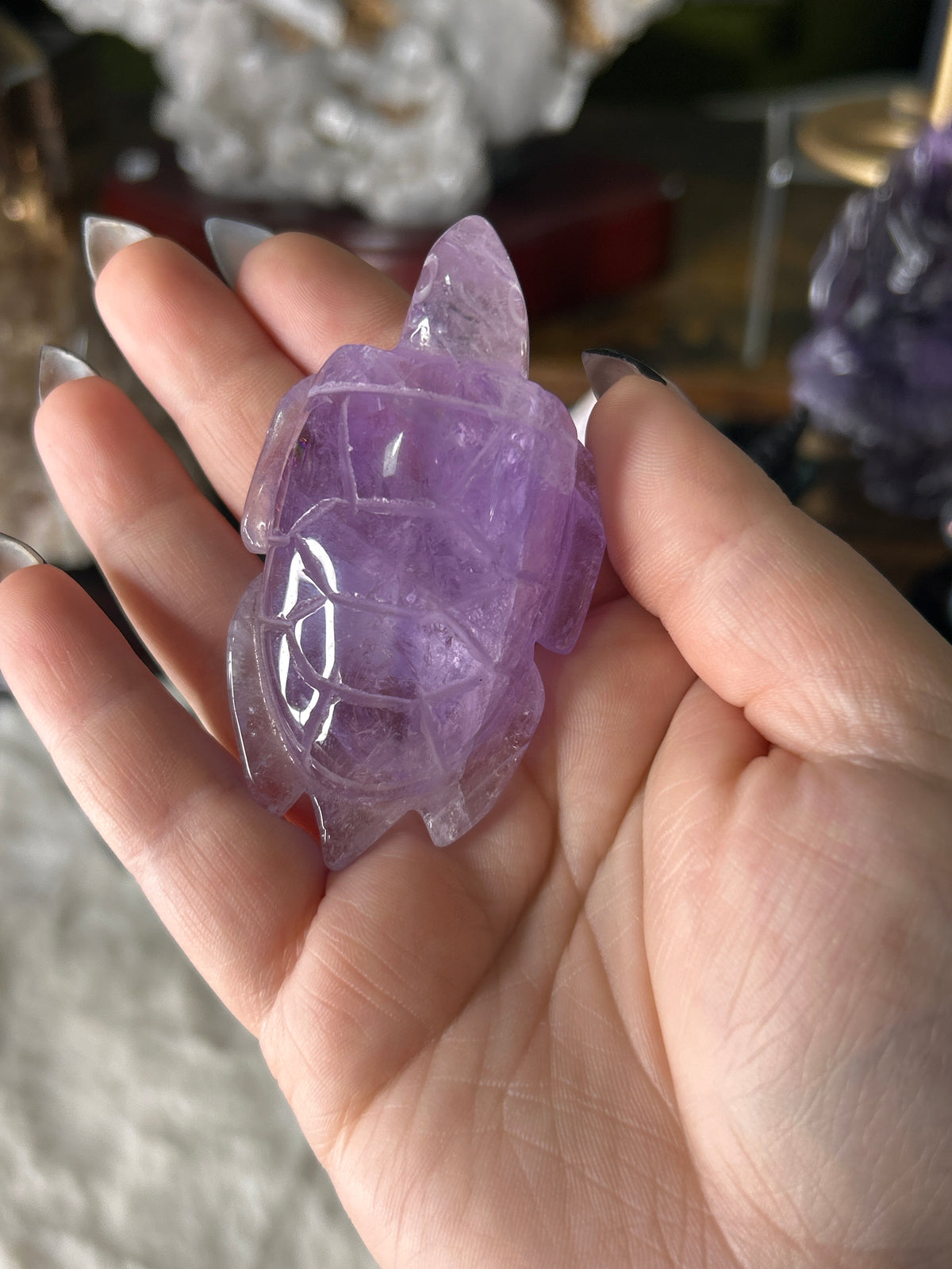 Amethyst Sea Turtle