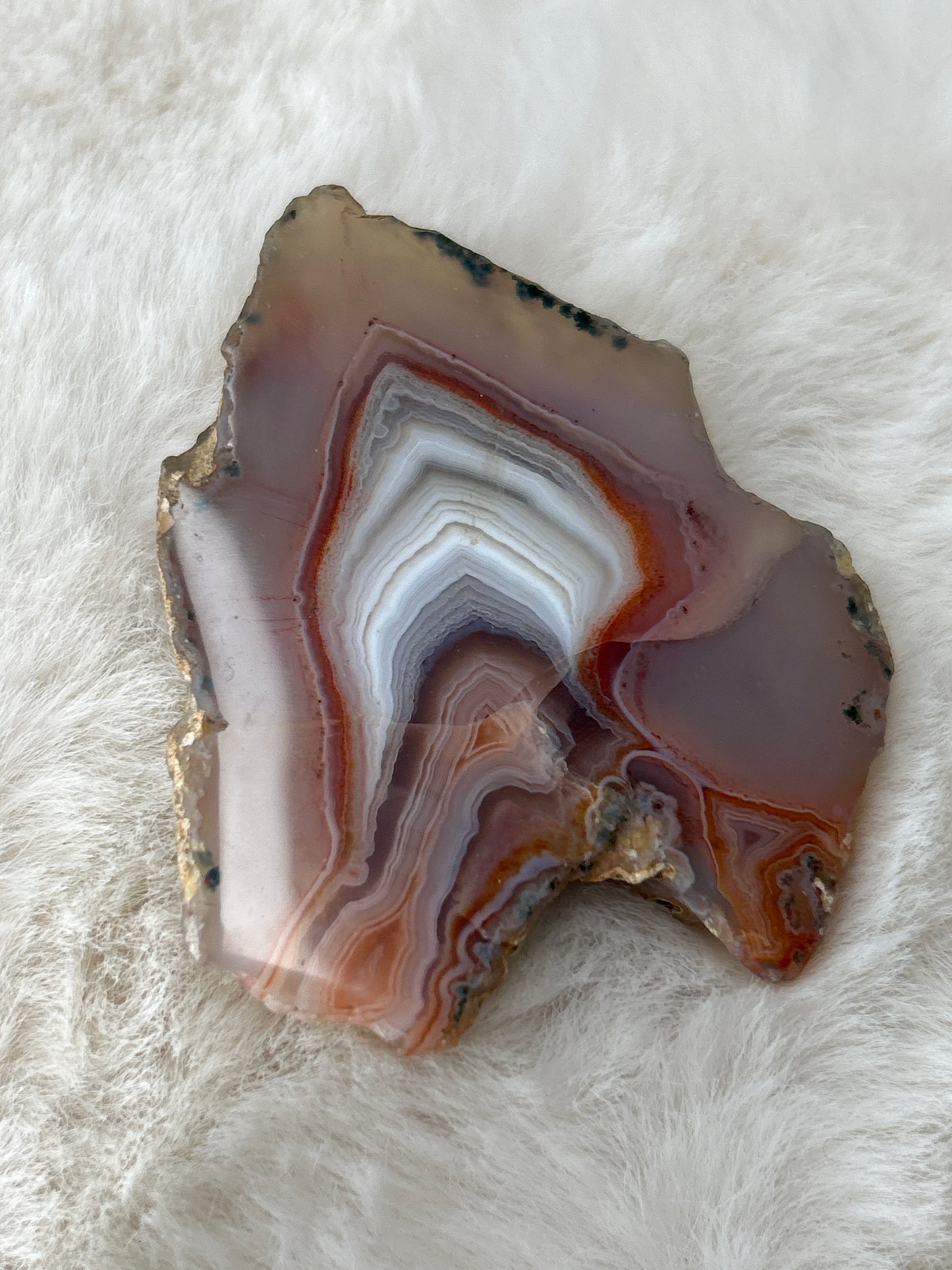 Red Sashe River Agate- Zimbabwe