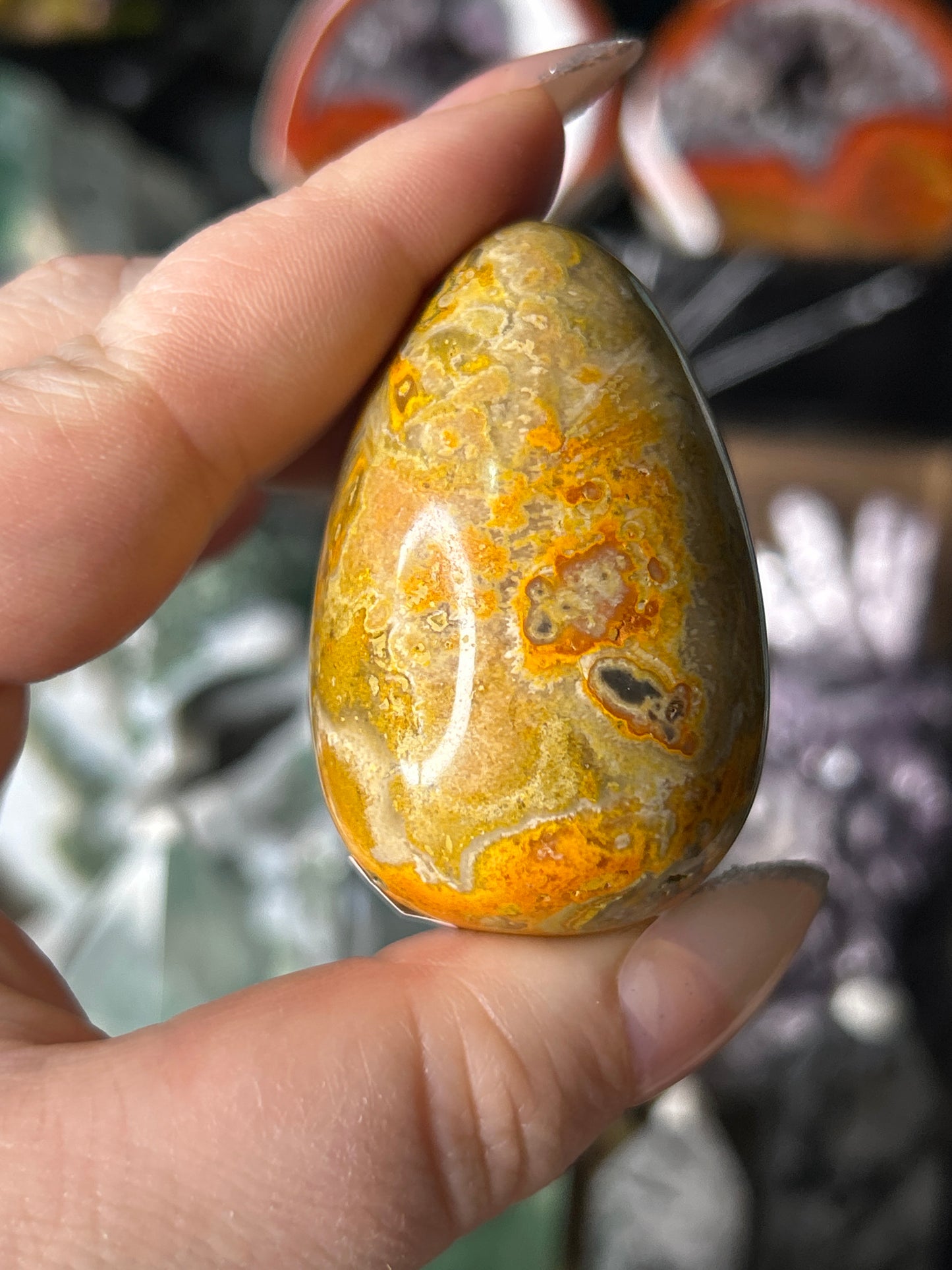 Bumblebee Jasper Egg