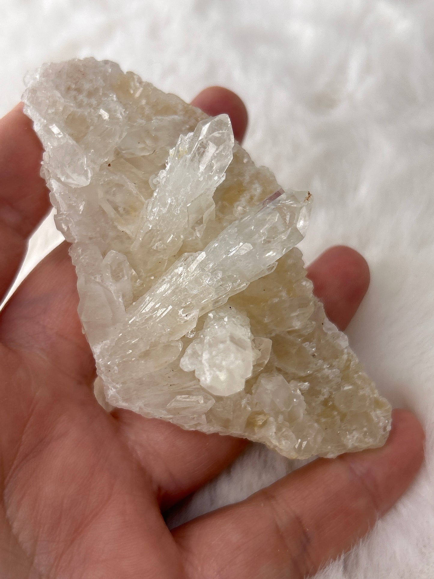 Pineapple Quartz Cluster