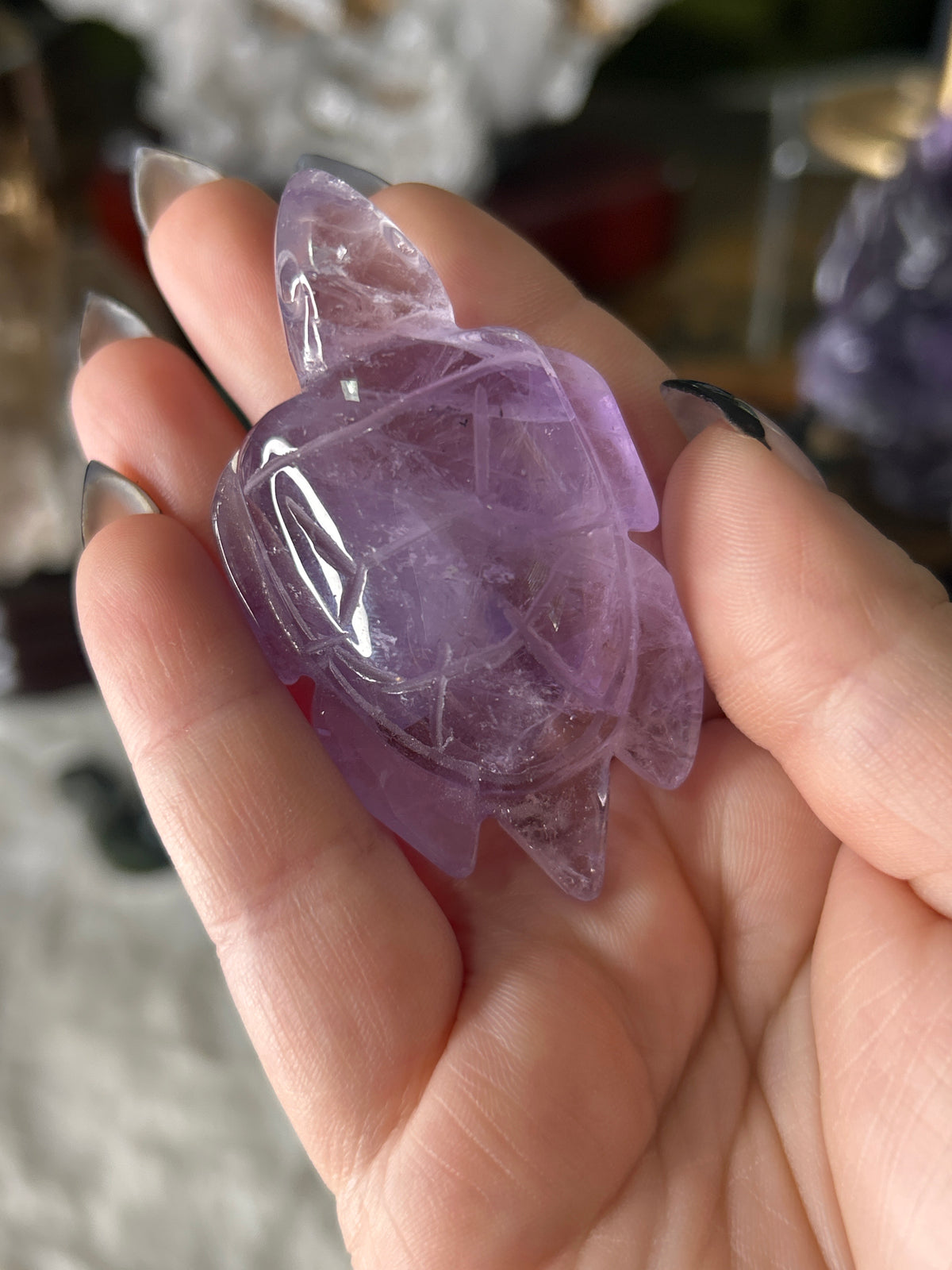 Amethyst Sea Turtle