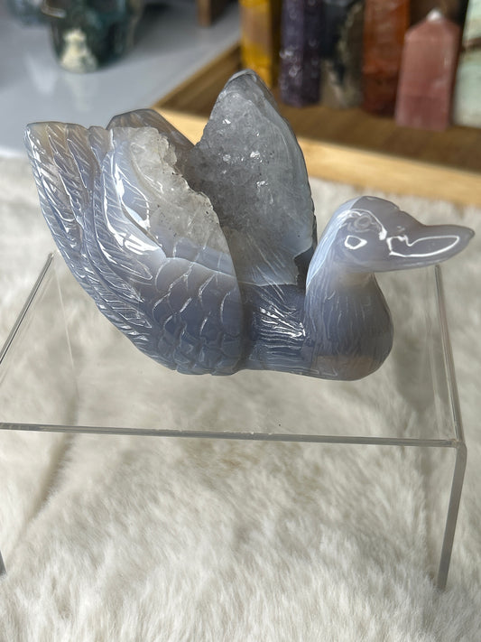 Druzy Agate Swan 🦢