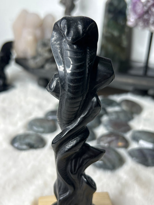 Obsidian Cobra