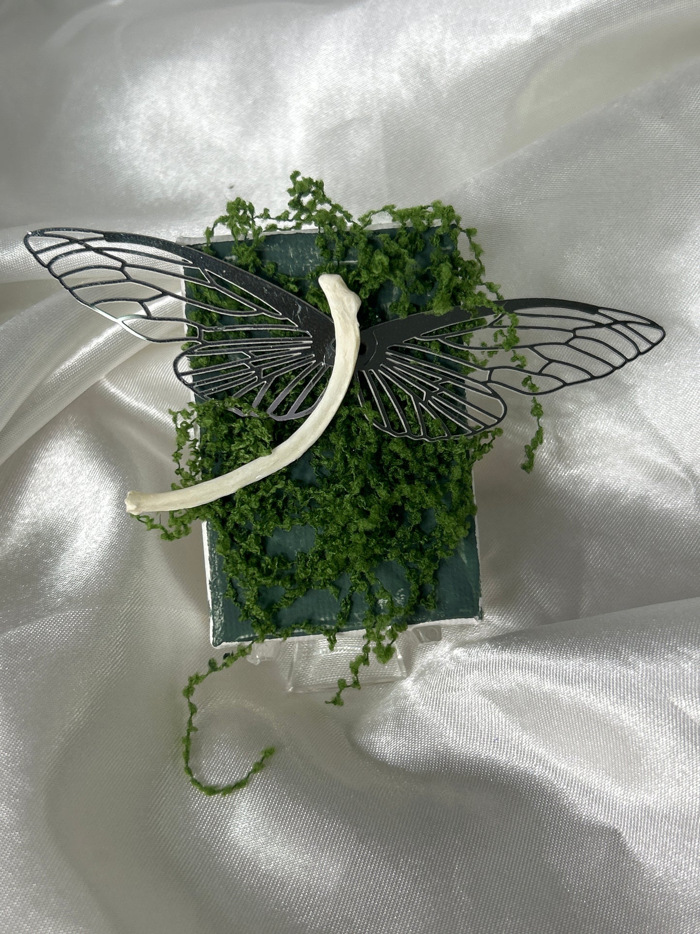 Mink Bone Dragonfly on Canvas