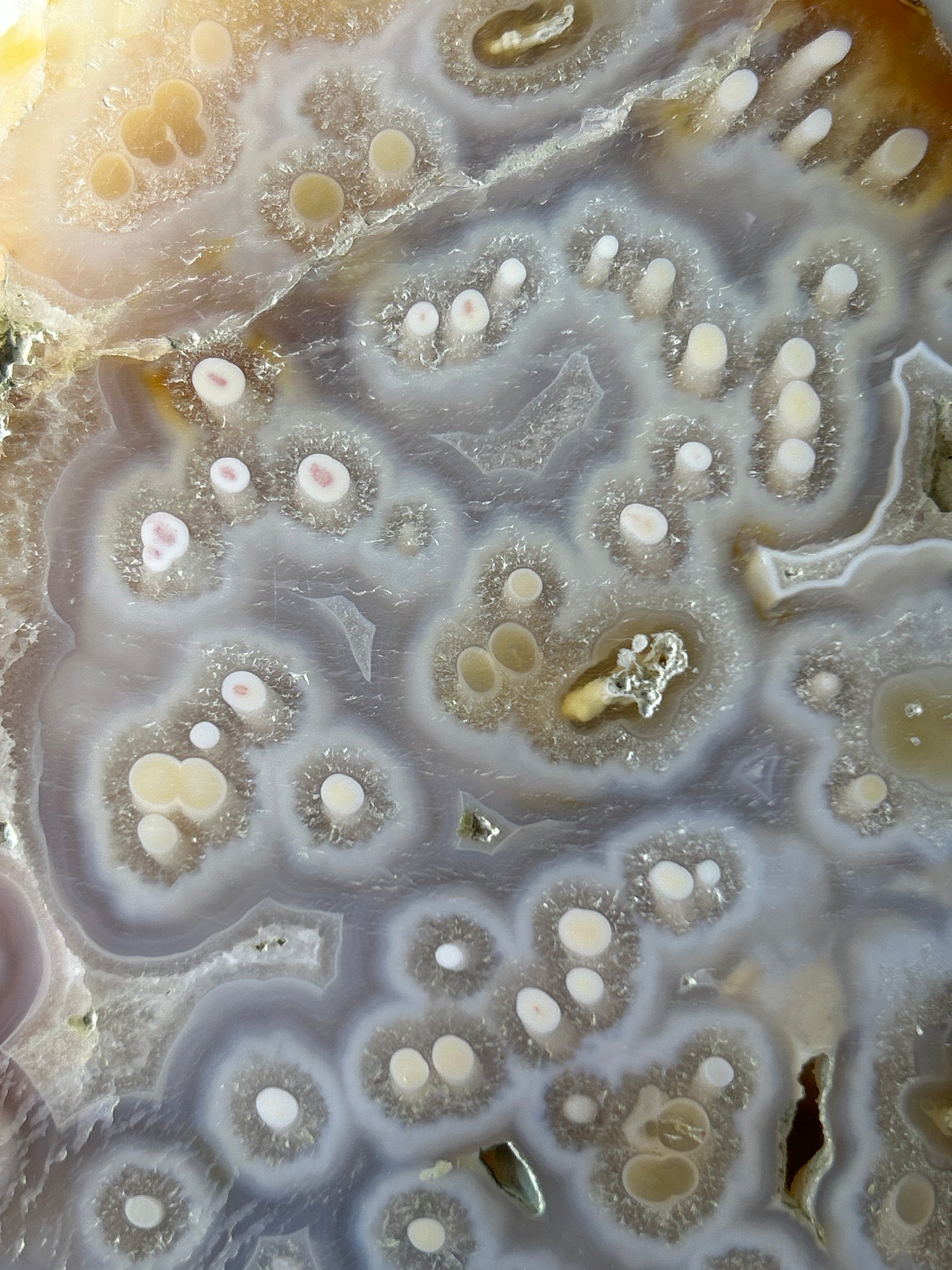 XL Scenic Moss Agate Slab
