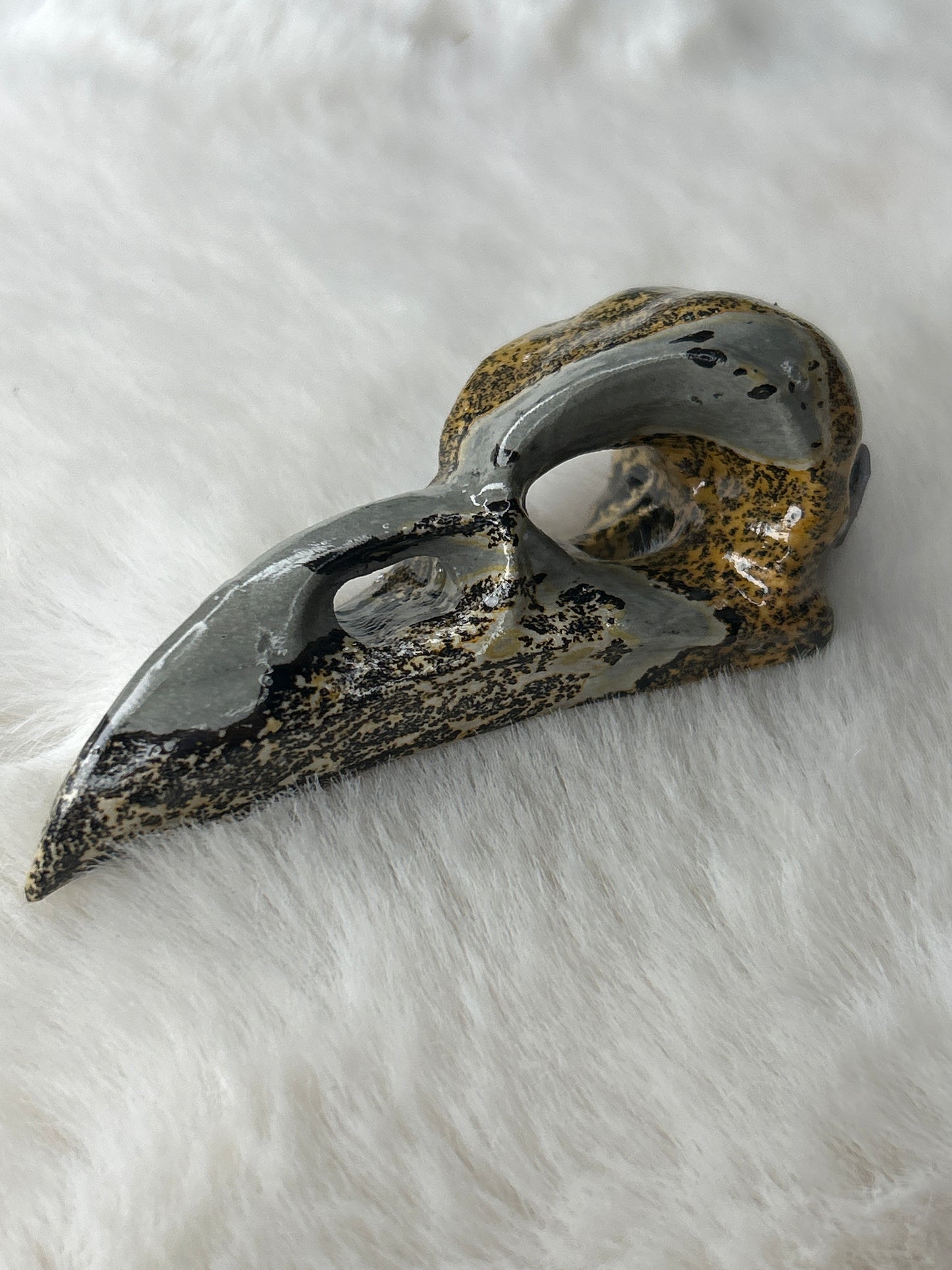 Picture Jasper Raven Skull