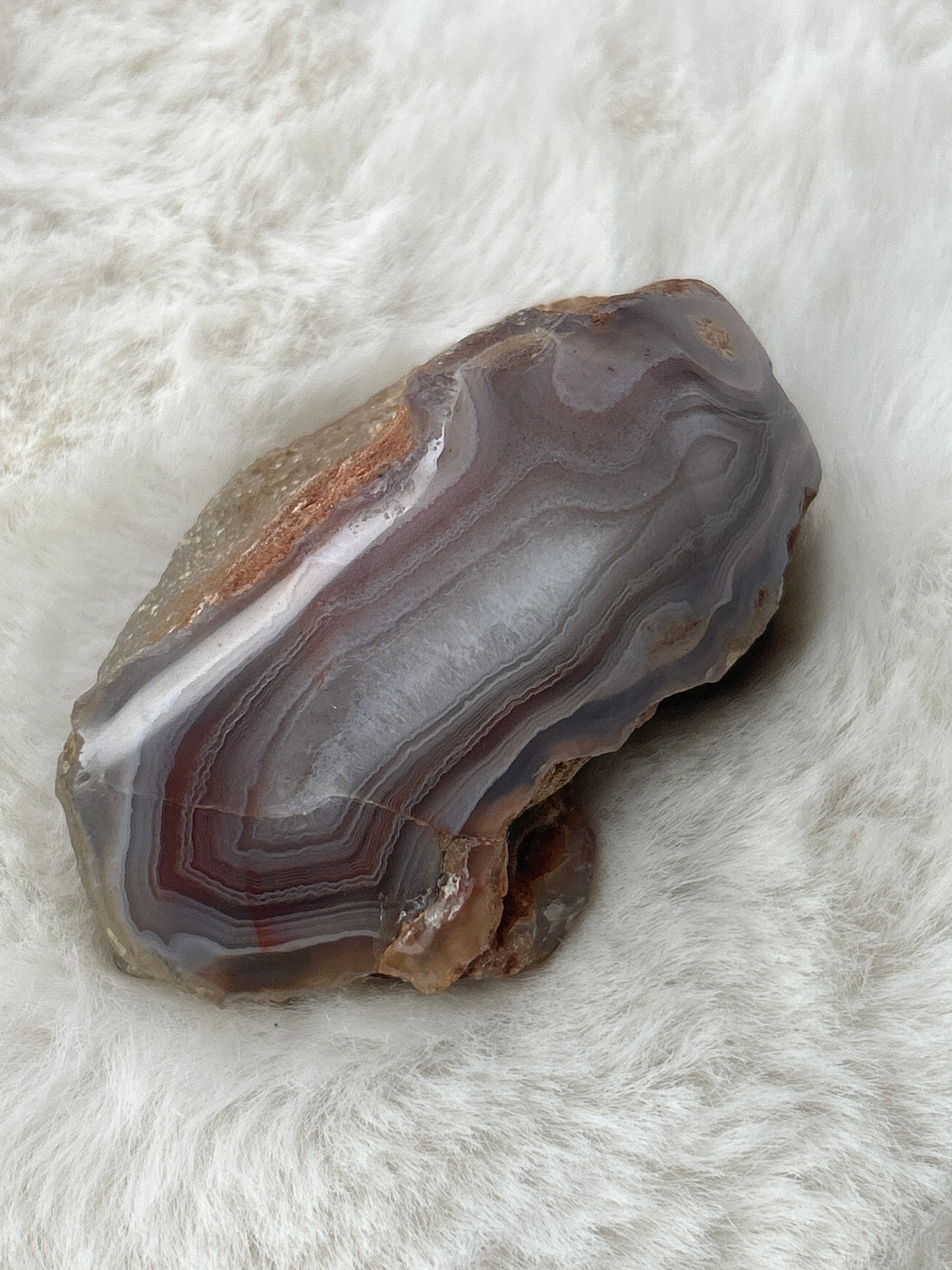 Red Sashe River Agate - Zimbabwe