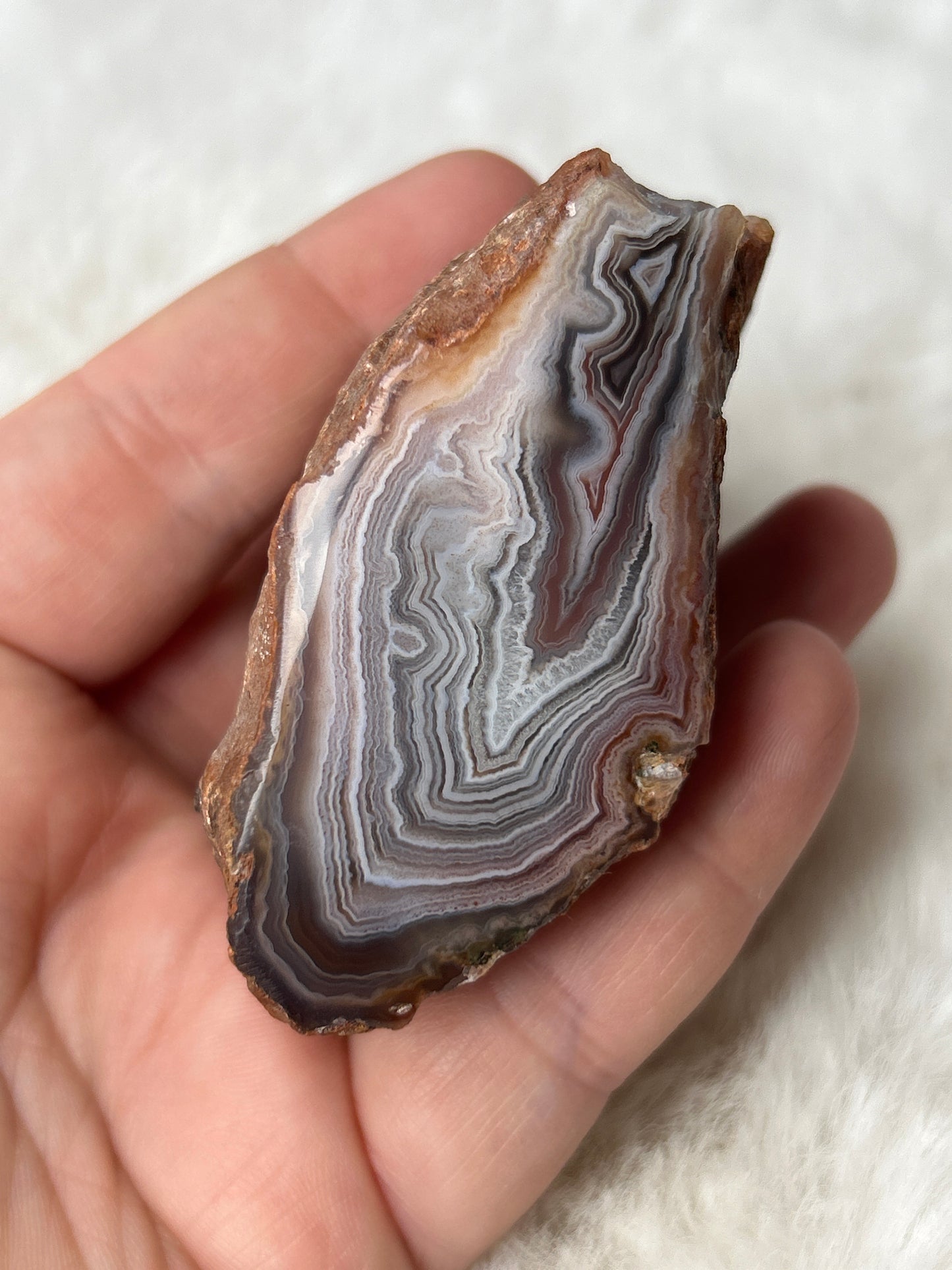 Red Sashe River Agate- Zimbabwe