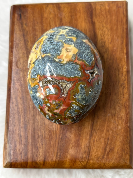 Marcasite & Agate Palm Stone - Indonesia