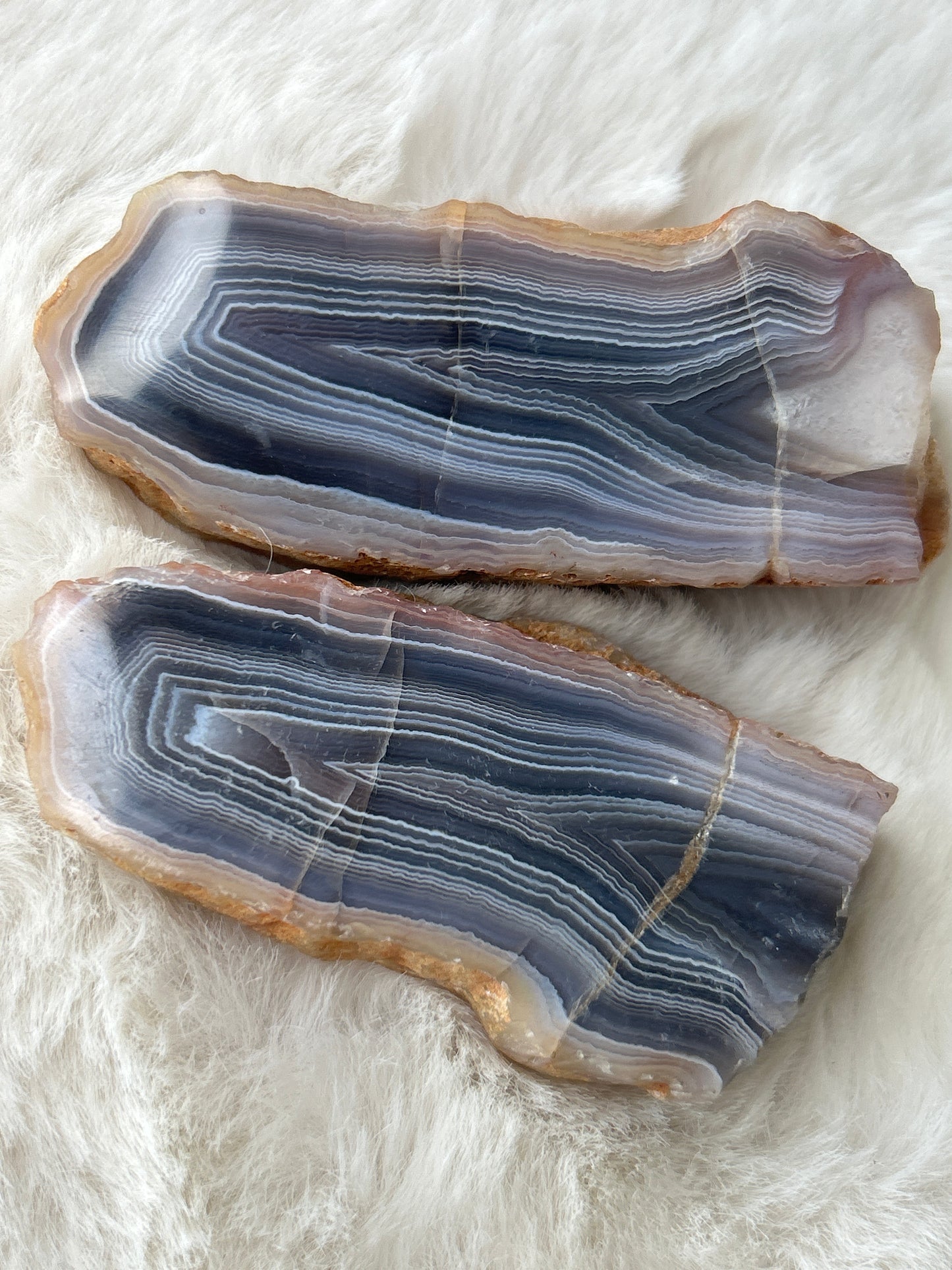 Red Sashe River Agate *Pair*- Zimbabwe