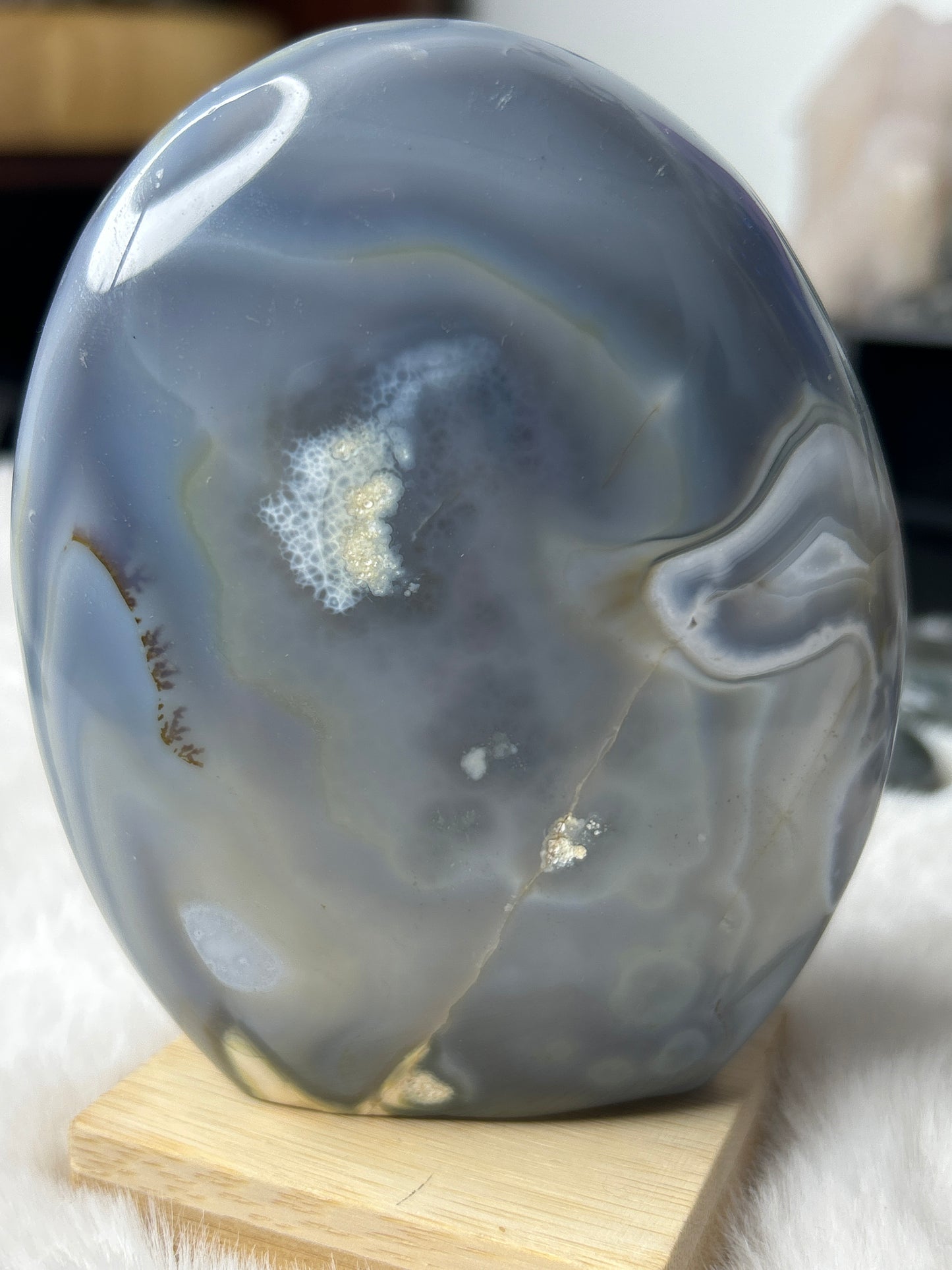 Orca Agate Free Form