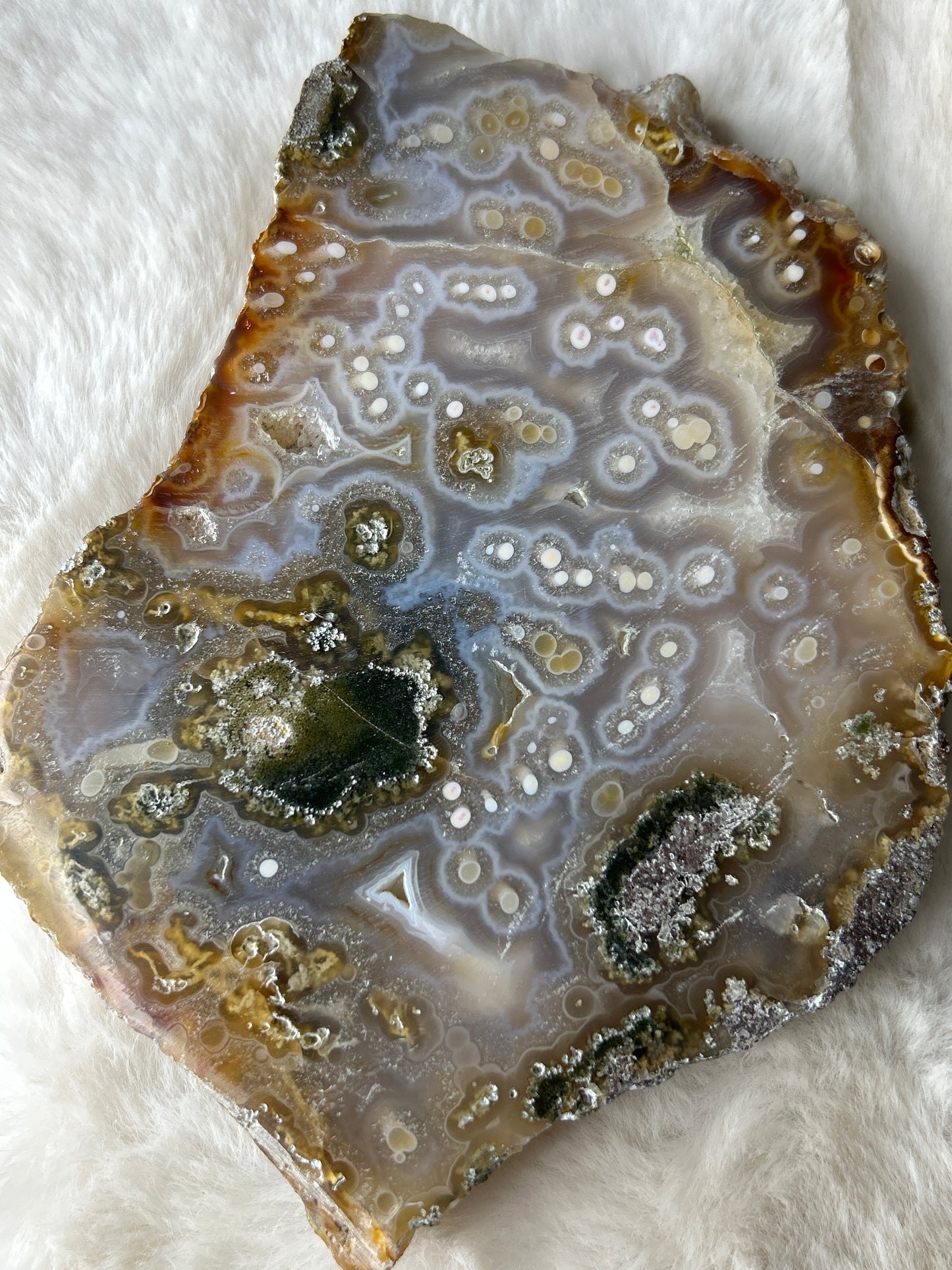 XL Indonesian Scenic Moss Agate Slab