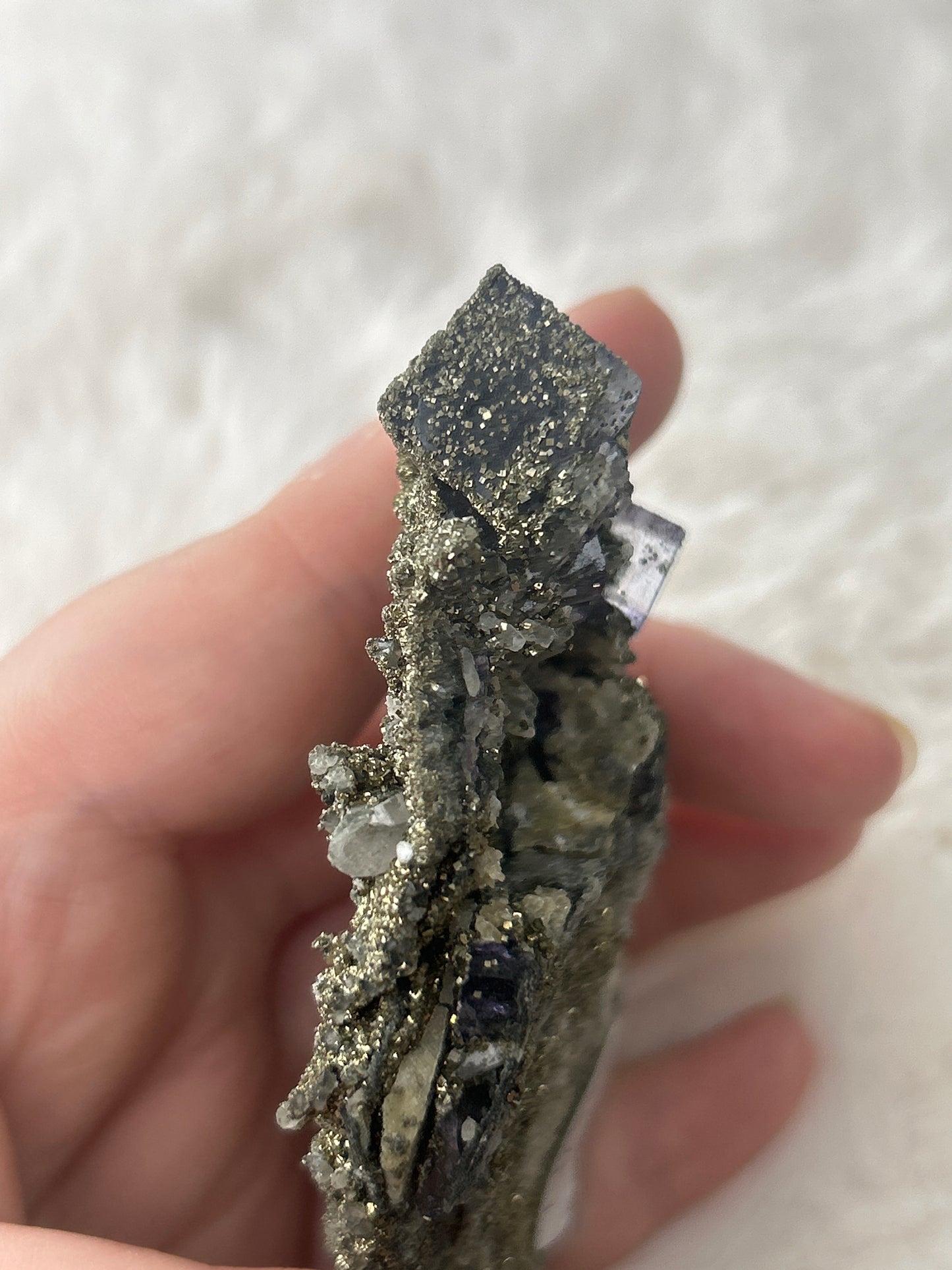 Pyrite on Cubic Fluorite