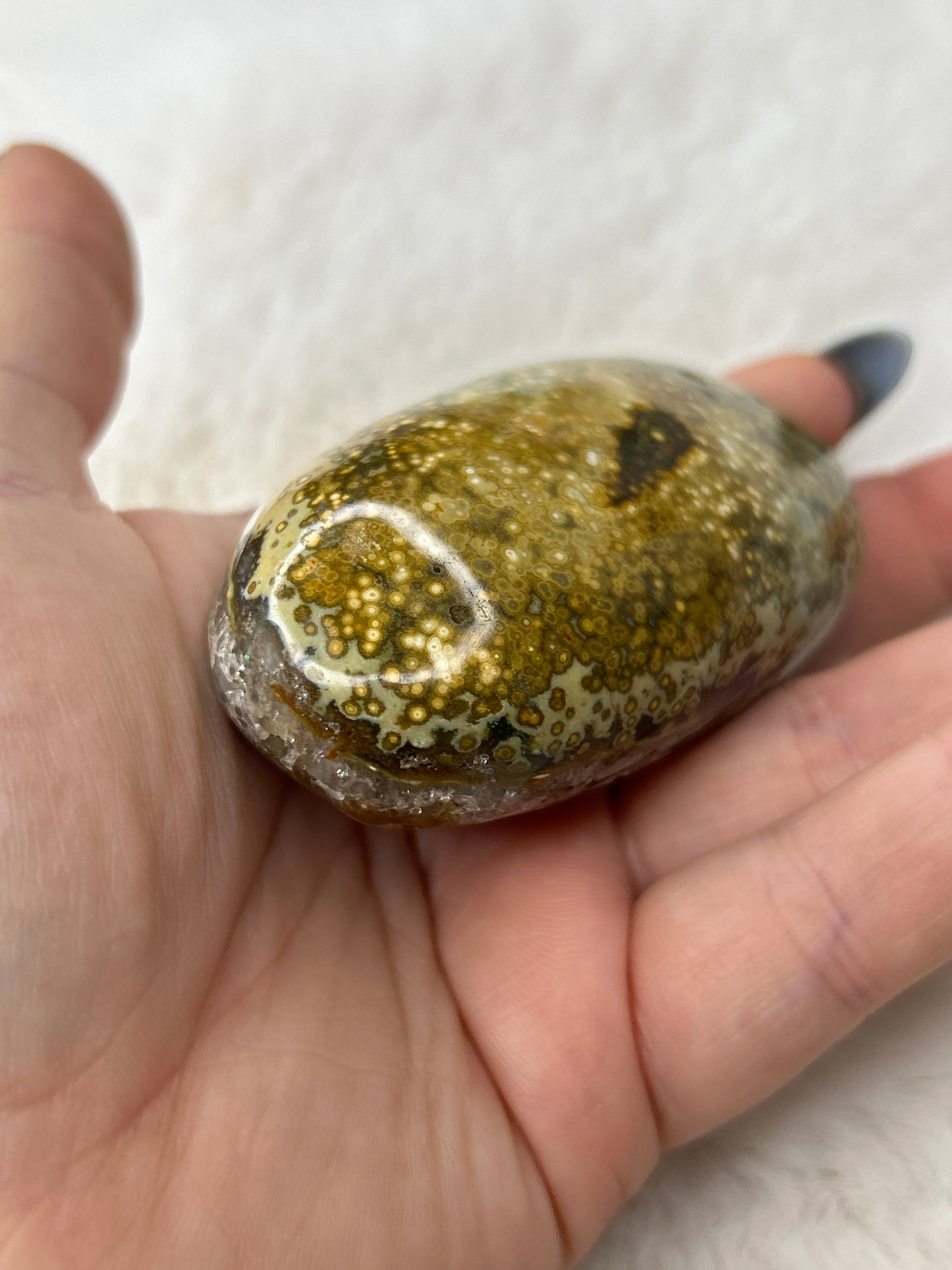 Orbicular Ocean Jasper Palm Stone