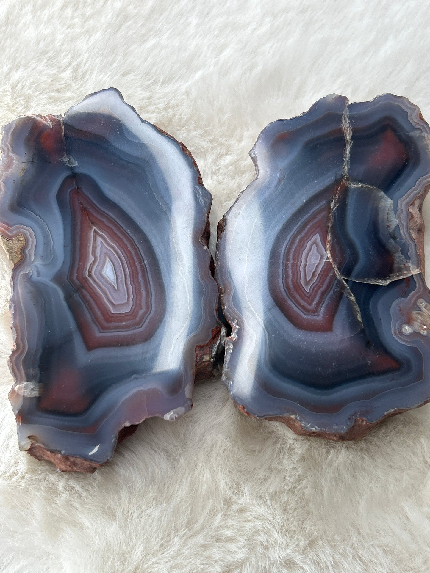 Red Sashe River Agate *Pair*- Zimbabwe