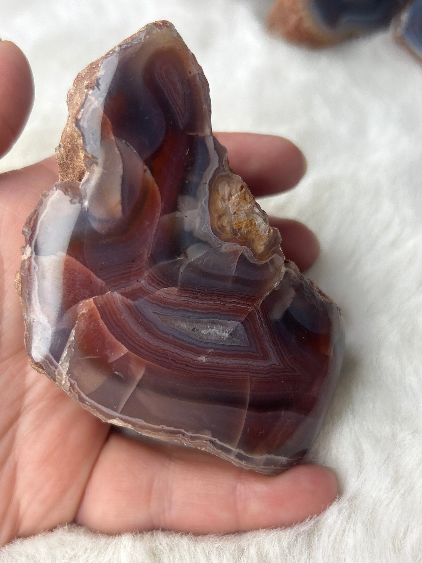 Red Sashe River Agate - Zimbabwe