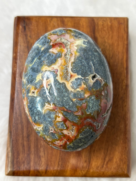Marcasite & Agate Palm Stone- Indonesia