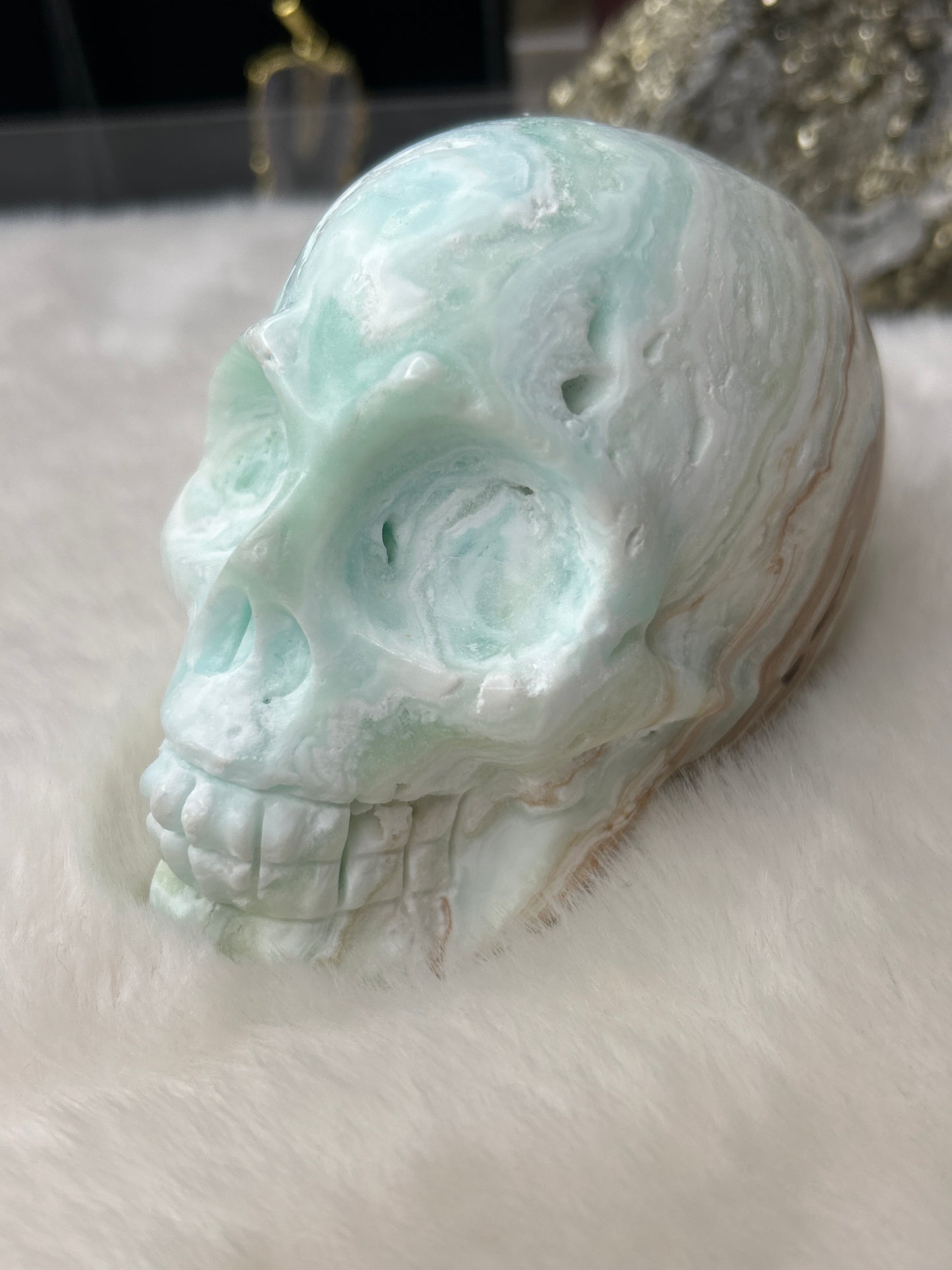 Caribbean Calcite Skull