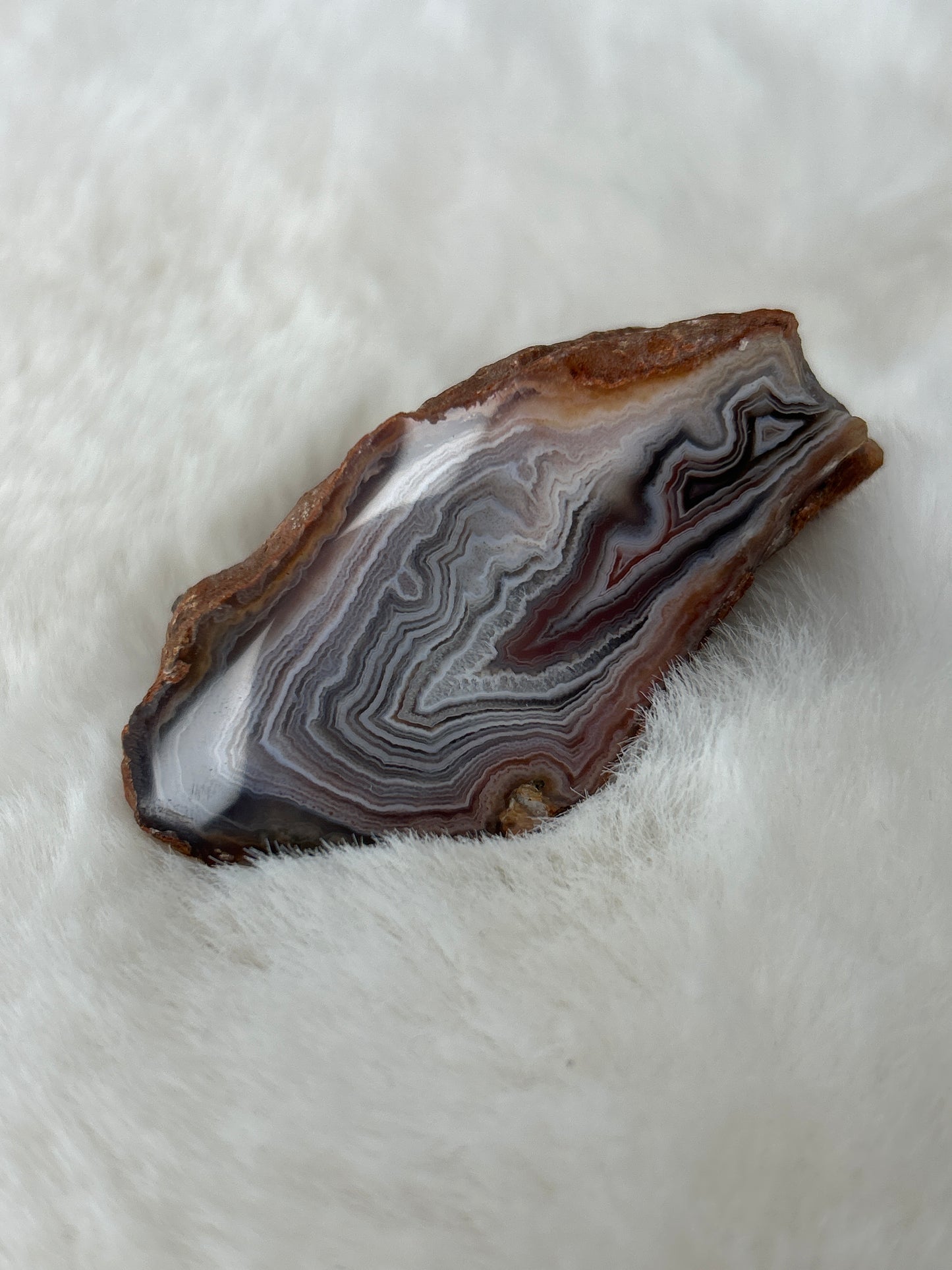 Red Sashe River Agate- Zimbabwe