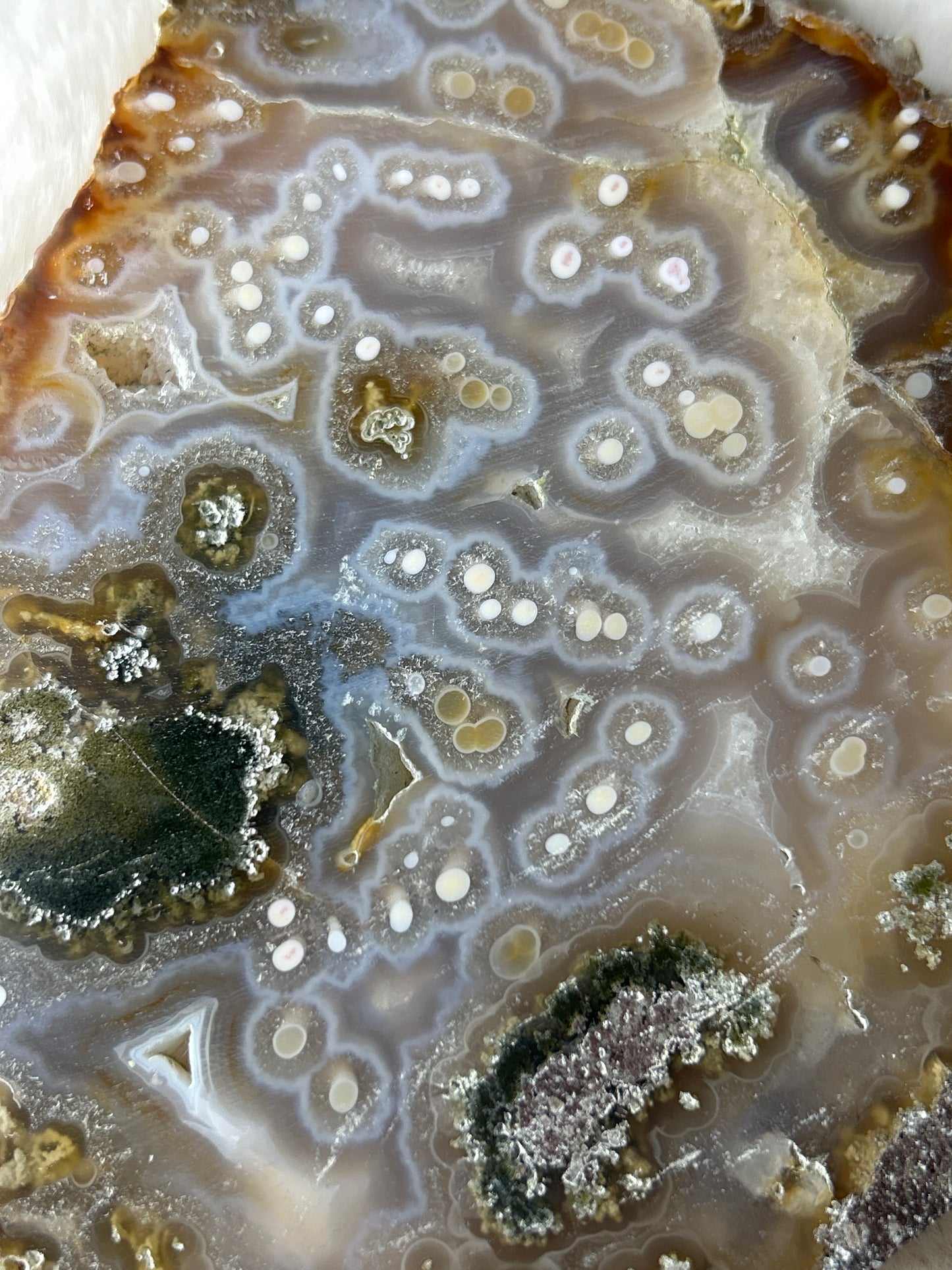 XL Indonesian Scenic Moss Agate Slab