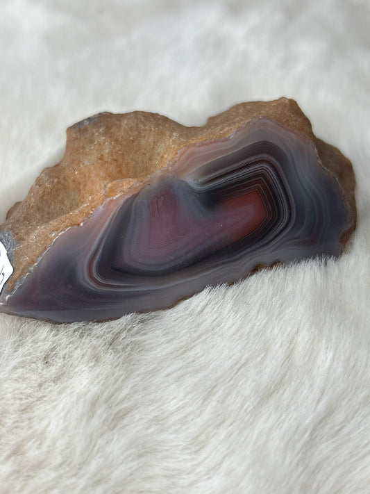 Red Sashe River Agate- Zimbabwe