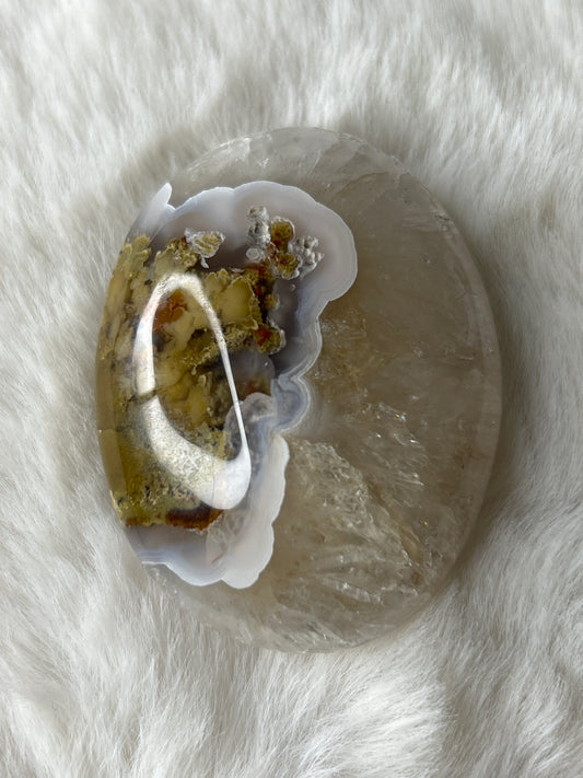Scenic Moss Agate Palm