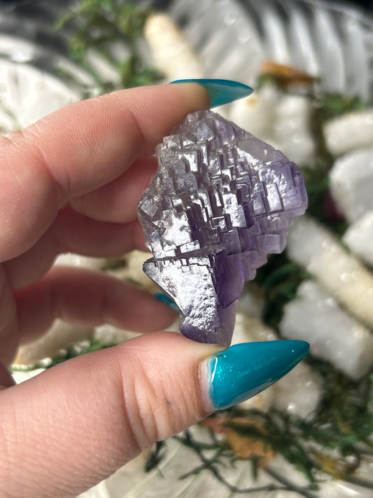 Cubic Fluorite