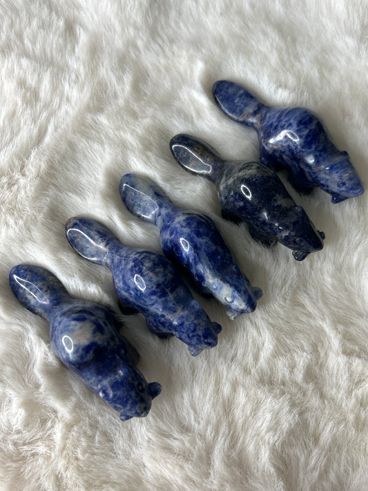 Sodalite Beaver