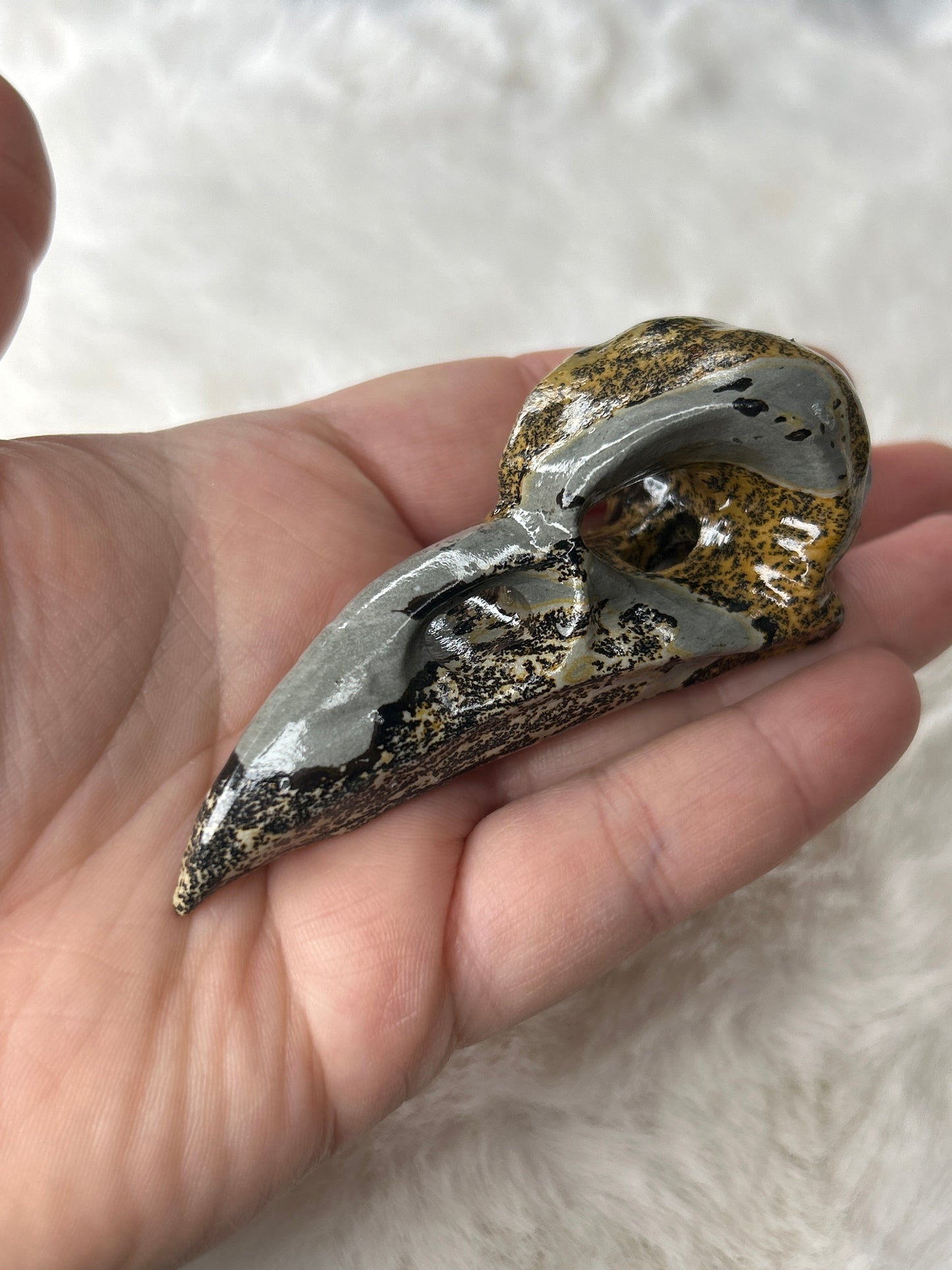 Picture Jasper Raven Skull