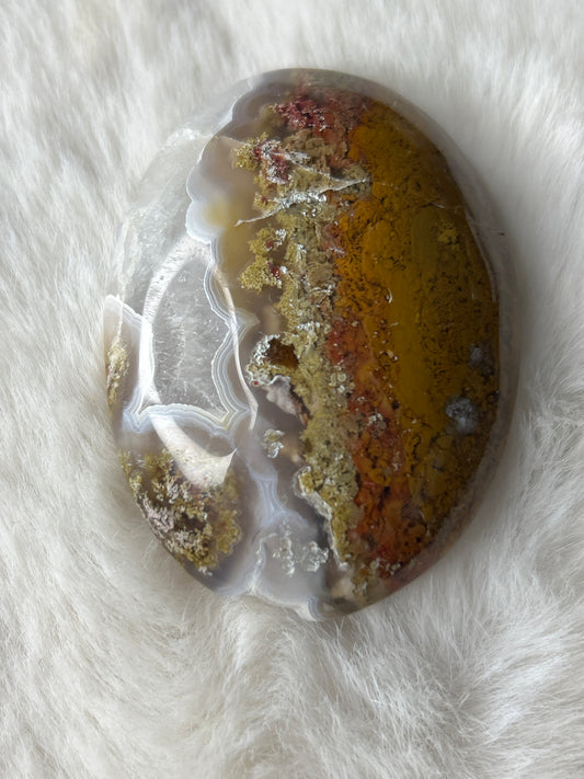 Scenic Moss Agate Palm