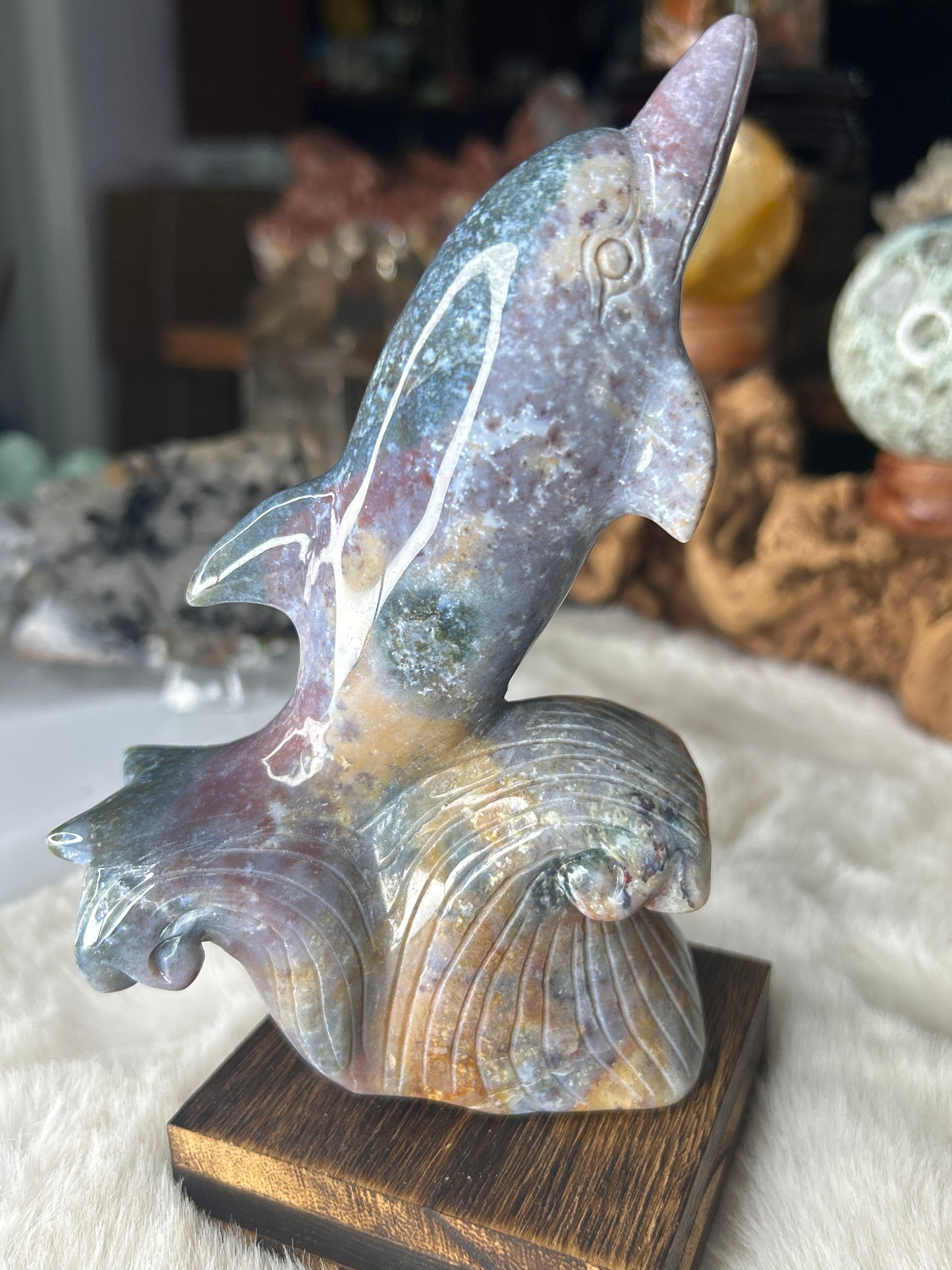 Ocean Jasper Dolphin