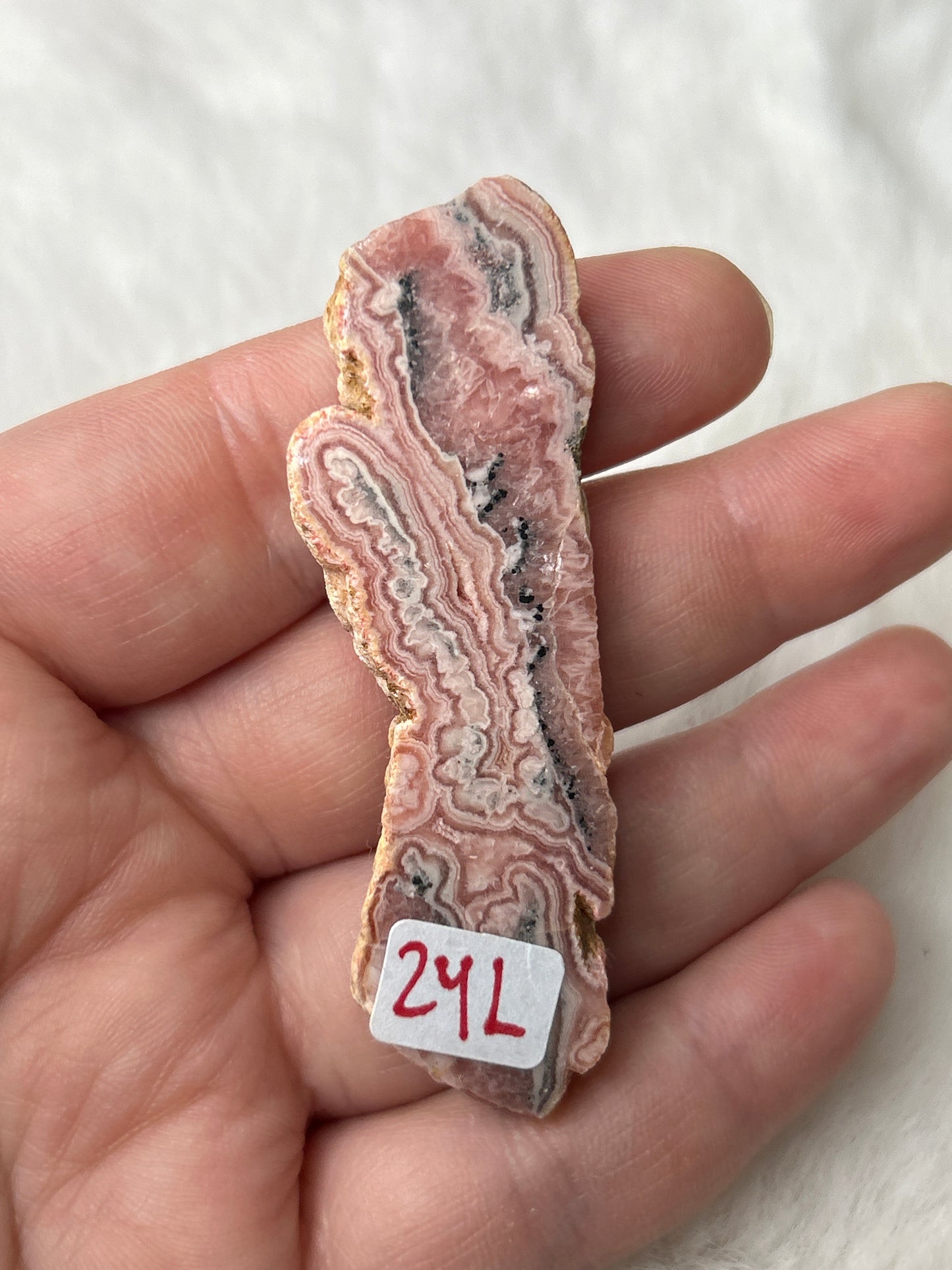 Rhodochrosite “Bacon” Slice