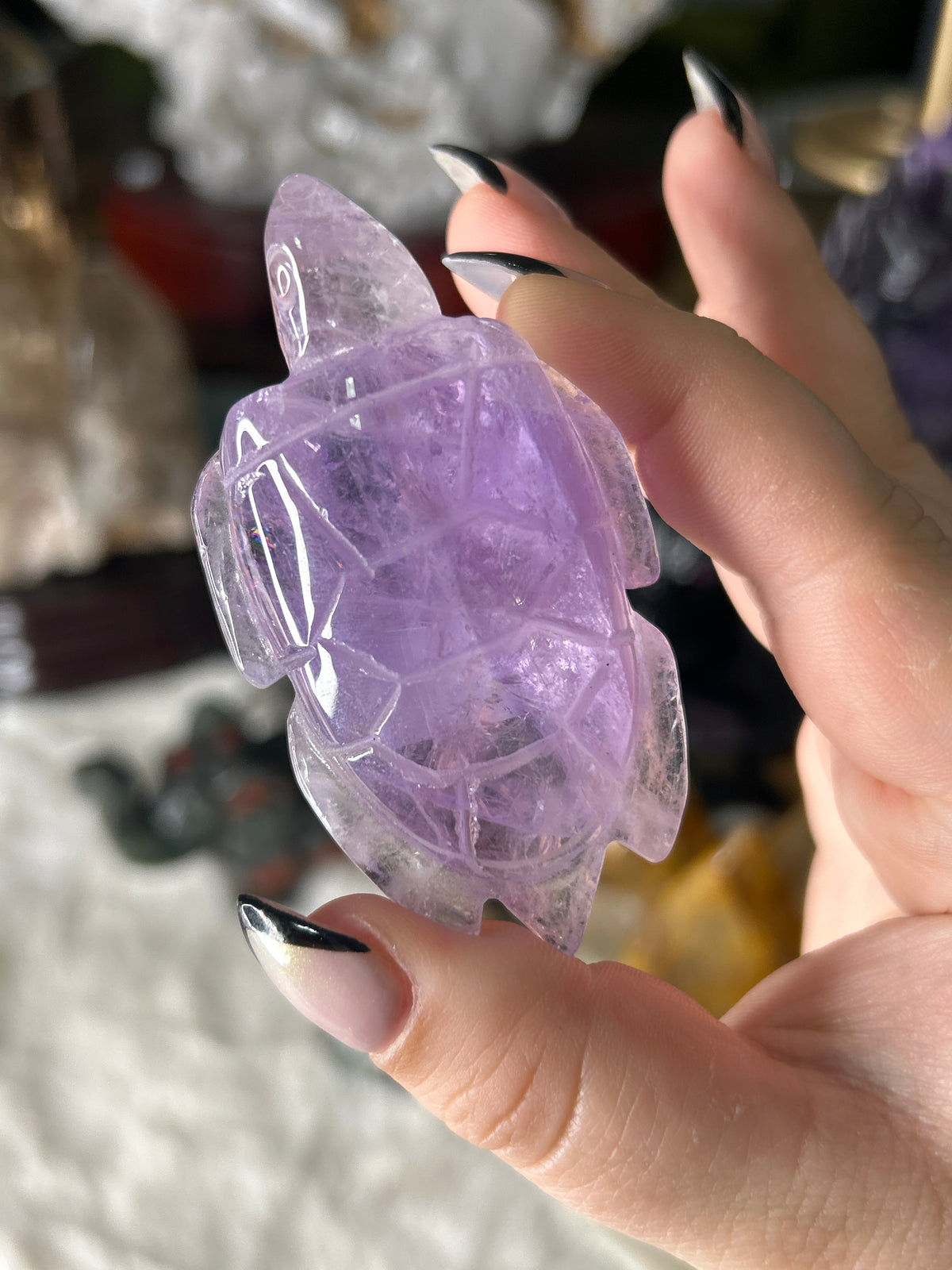 Amethyst Sea Turtle