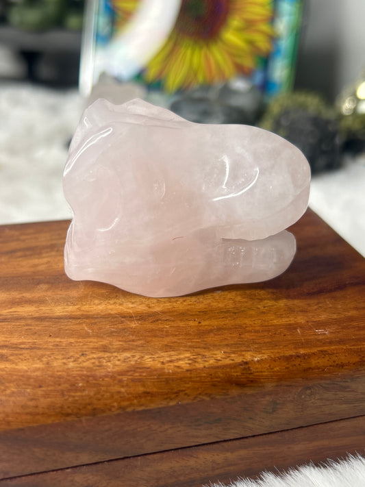 Rose Quartz Dino Skull