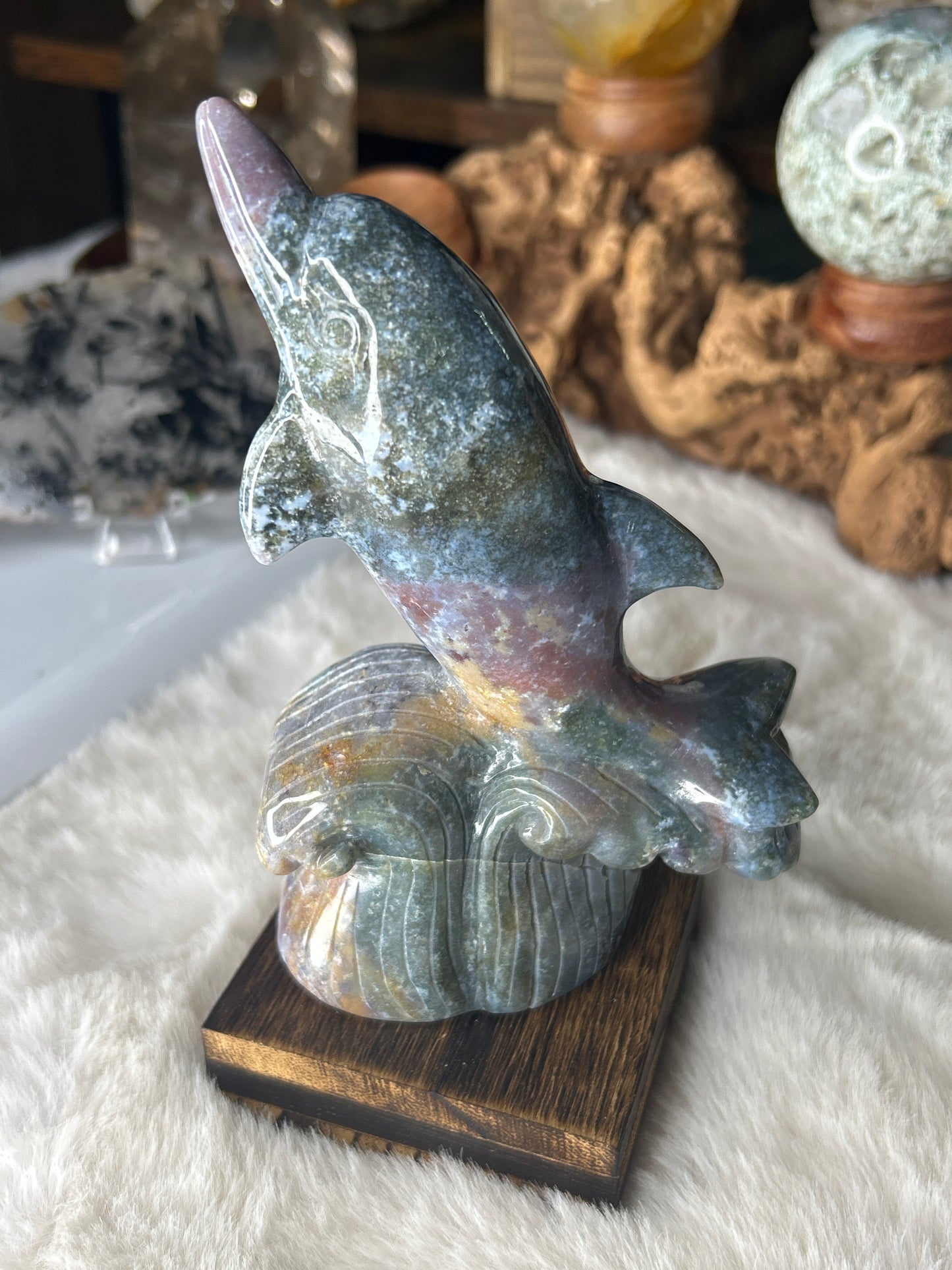 Ocean Jasper Dolphin
